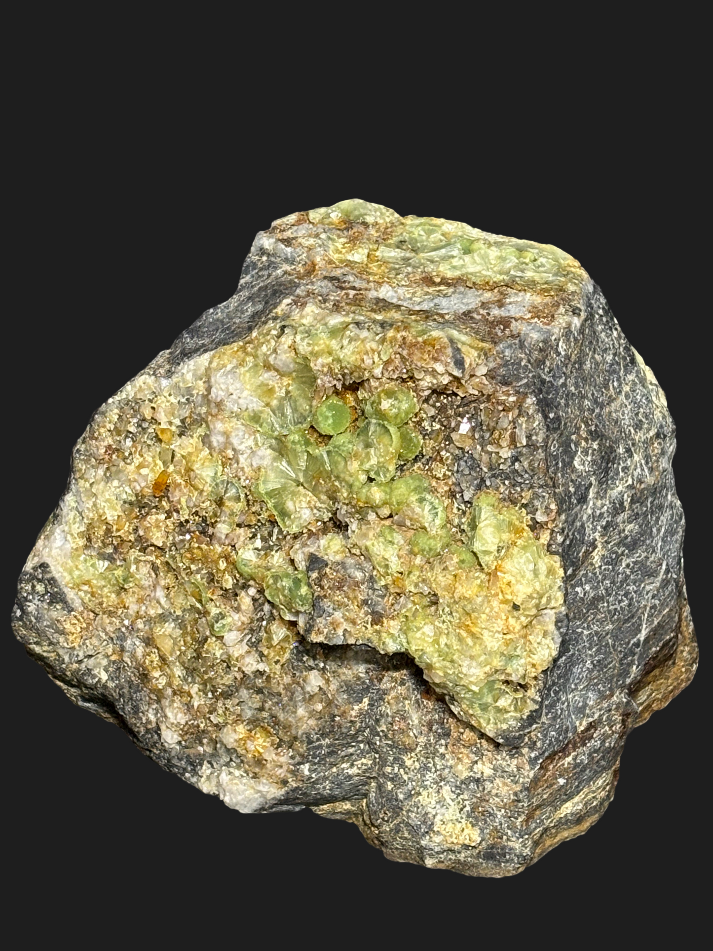 Super Rare Large Wavellite on Novaculite & Quartz Matrix with Clear Quartz Points and Iron Deposits – Mauldin Mountain, Arkansas