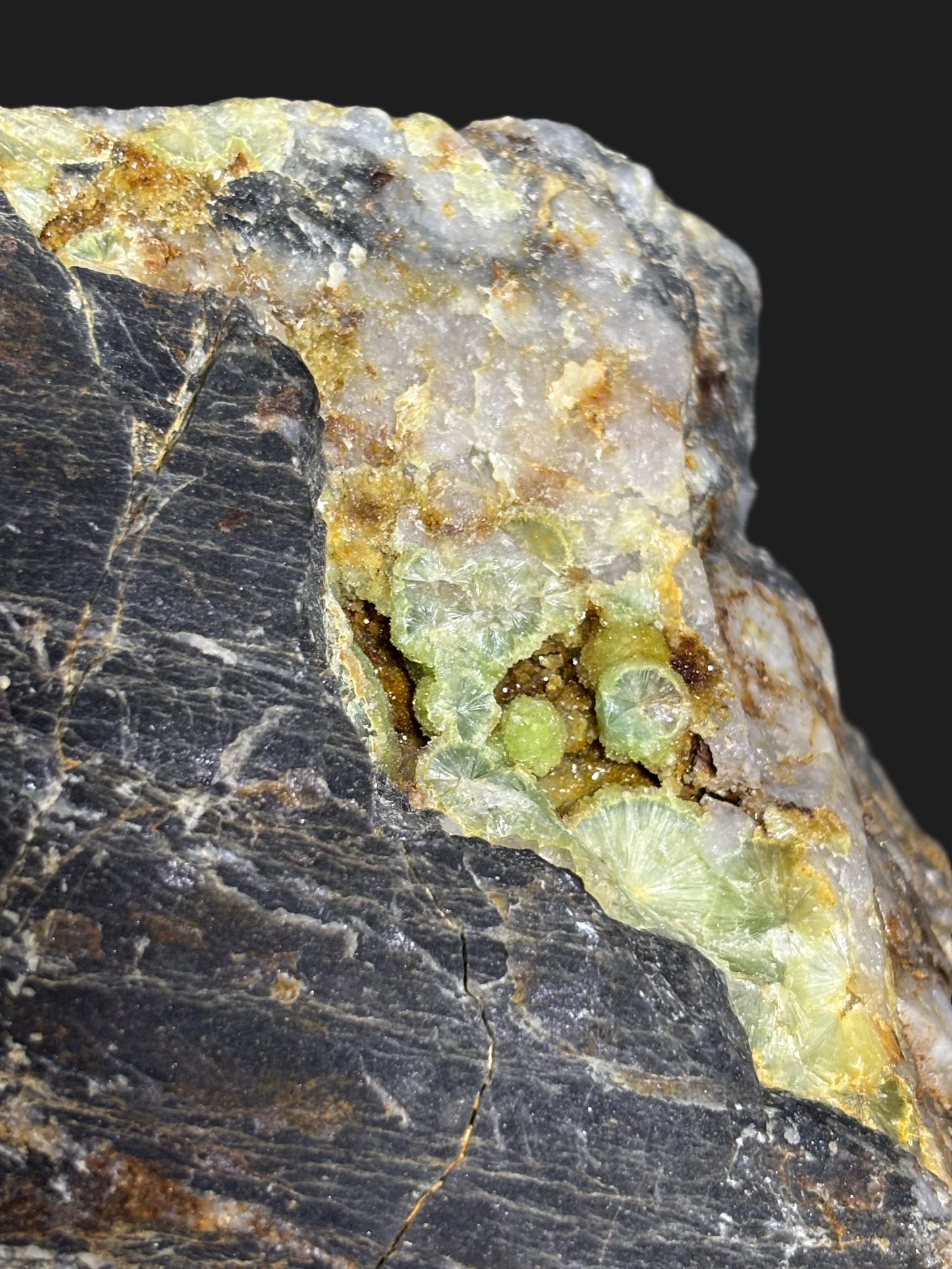 Super Rare Large Wavellite on Novaculite & Quartz Matrix with Clear Quartz Points and Iron Deposits – Mauldin Mountain, Arkansas