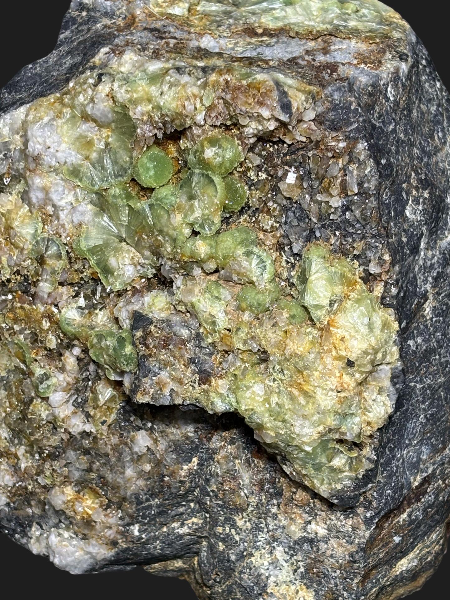 Super Rare Large Wavellite on Novaculite & Quartz Matrix with Clear Quartz Points and Iron Deposits – Mauldin Mountain, Arkansas