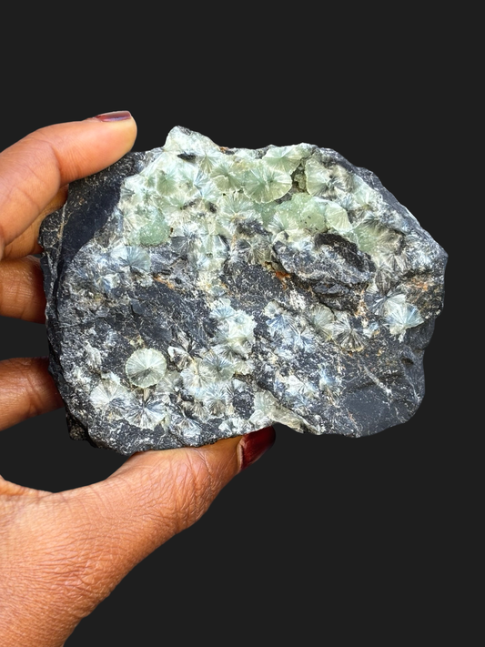 Stunning Wavellite Crystal Plate with Pale Green-Blue Cat’s Eye Formations on Dark Matrix – Mauldin Mountain, Arkansas